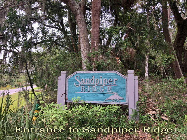 724 Sandpiper Road Edisto Island, SC 29438 - Photo 4 of 14 3