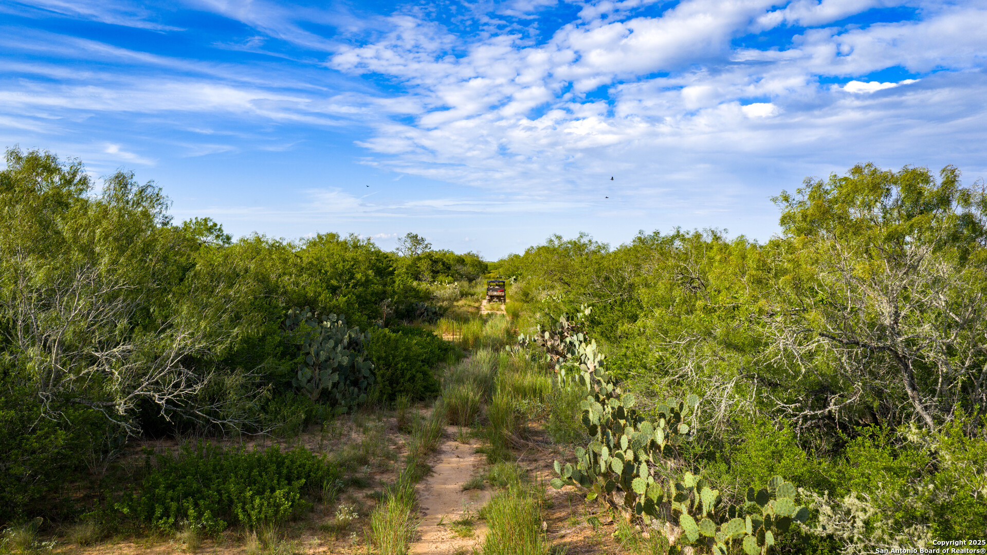 Tbd County Road 243 Concepcion, TX 78349 - Photo 12 of 29