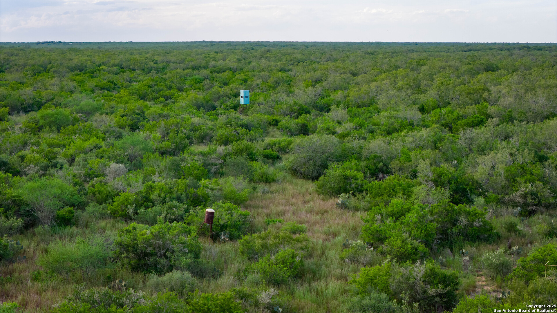 Tbd County Road 243 Concepcion, TX 78349 - Photo 14 of 29