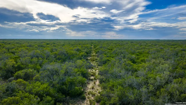 $361,205 | Tbd County Road 243, Concepcion, TX 78349