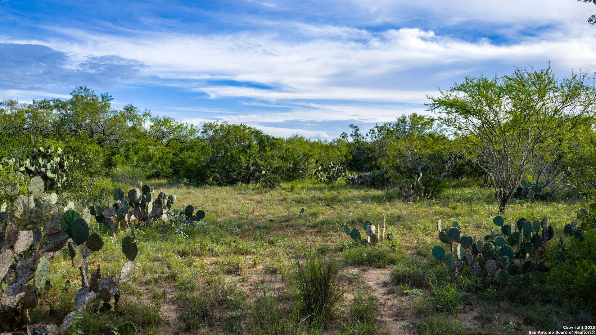 Tbd County Road 243 Concepcion, TX 78349 - Photo 2 of 29