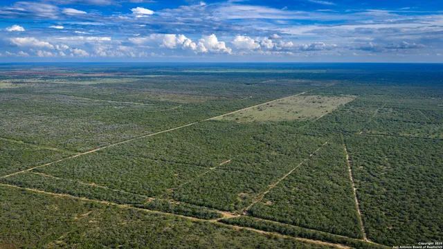 $361,205 | Tbd County Road 243, Concepcion, TX 78349