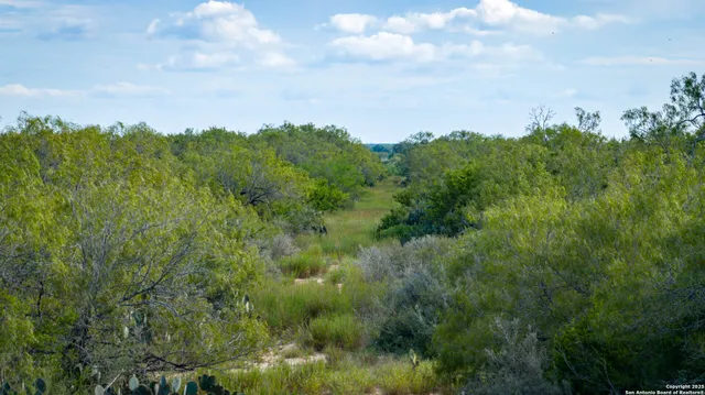 $361,205 | Tbd County Road 243, Concepcion, TX 78349