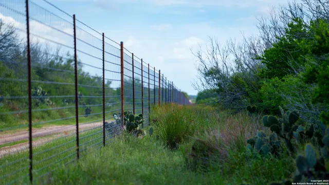 $361,205 | Tbd County Road 243, Concepcion, TX 78349