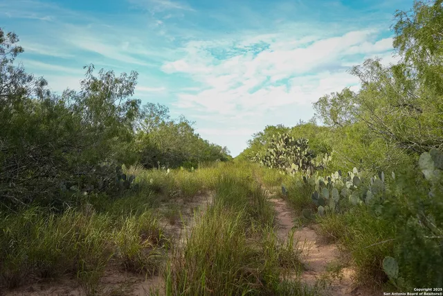 $361,205 | Tbd County Road 243, Concepcion, TX 78349