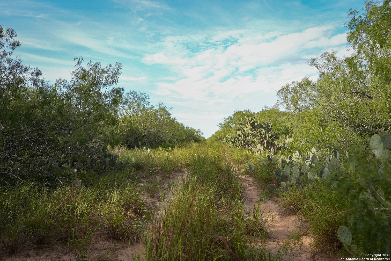 Tbd County Road 243 Concepcion, TX 78349 - Photo 5 of 29