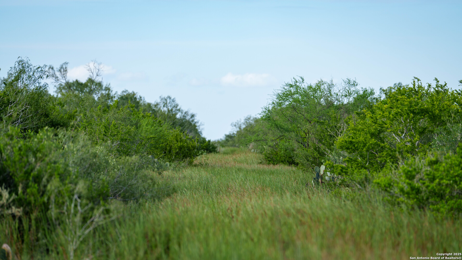 Tbd County Road 243 Concepcion, TX 78349 - Photo 6 of 29