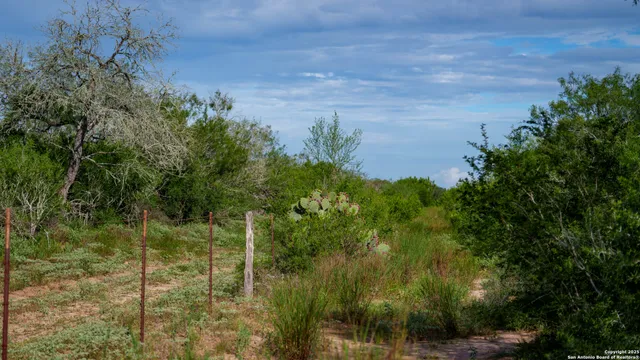 $361,205 | Tbd County Road 243, Concepcion, TX 78349