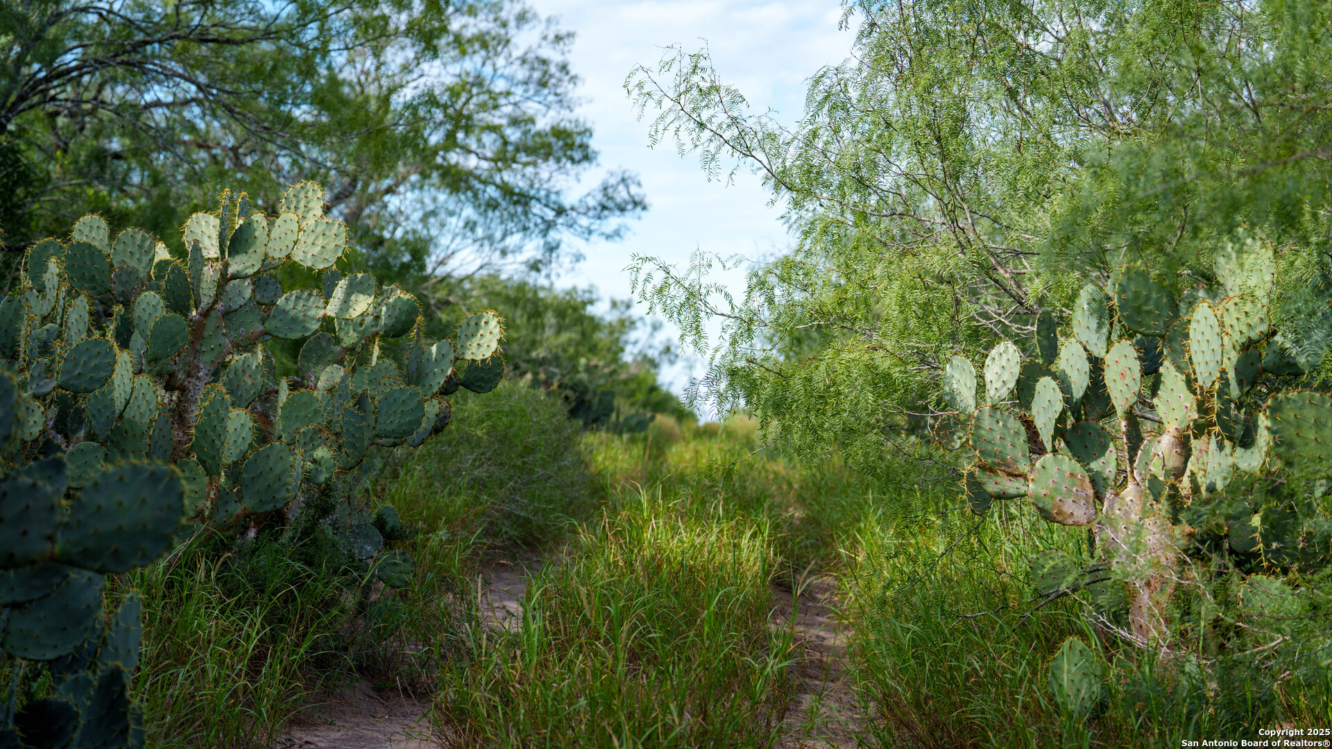 Tbd County Road 243 Concepcion, TX 78349 - Photo 10 of 29