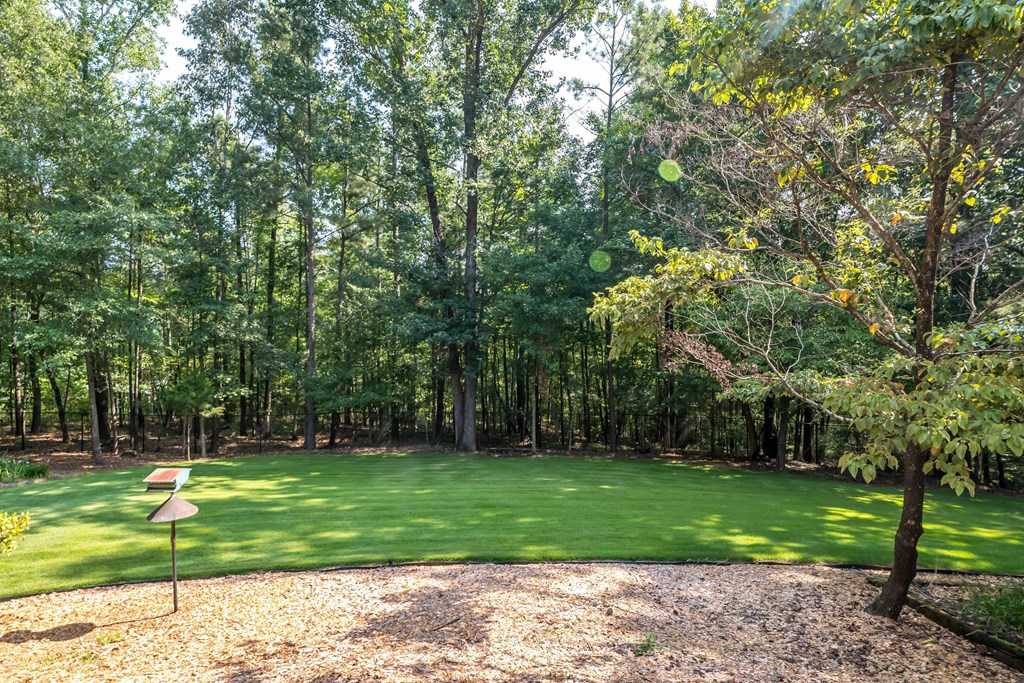 685 Green Ridge Road Cataula, GA 31804 - Photo 29 of 35 Gallery Image 29