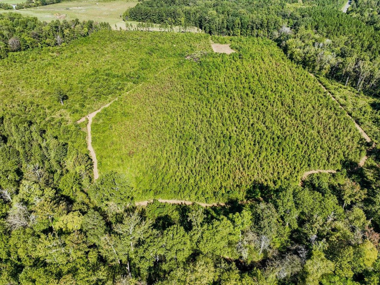 667 Emerson Cook Road Pittsboro, NC 27312 - Photo 19 of 24 Photo 19