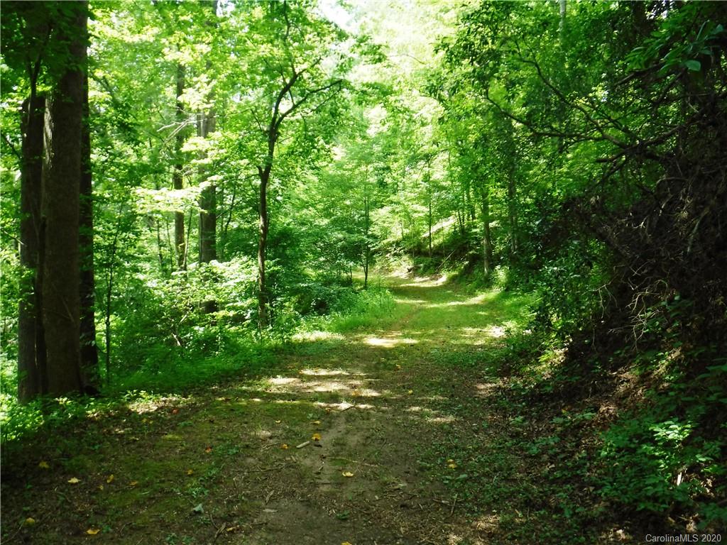 Lot 30 South Cove Rd Mill Spring Mill Spring, NC 28756 - Photo 1 of 15