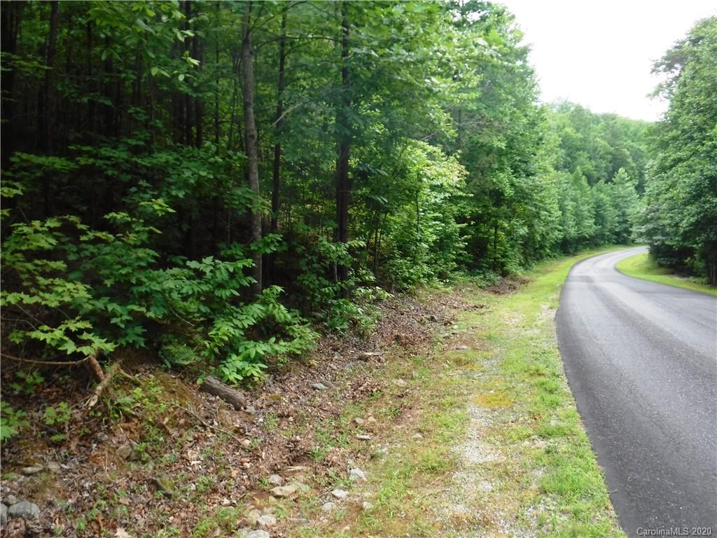 Lot 30 South Cove Rd Mill Spring Mill Spring, NC 28756 - Photo 2 of 15