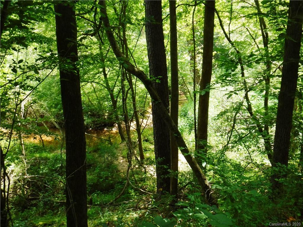 Lot 30 South Cove Rd Mill Spring Mill Spring, NC 28756 - Photo 11 of 15