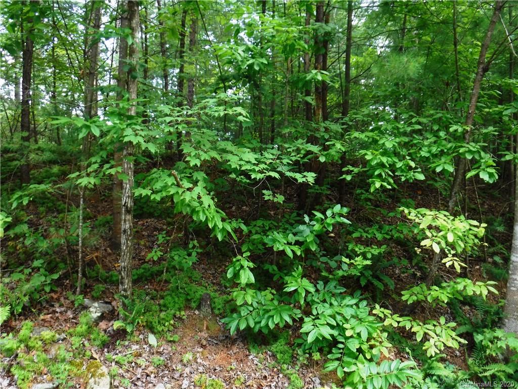 Lot 30 South Cove Rd Mill Spring Mill Spring, NC 28756 - Photo 3 of 15