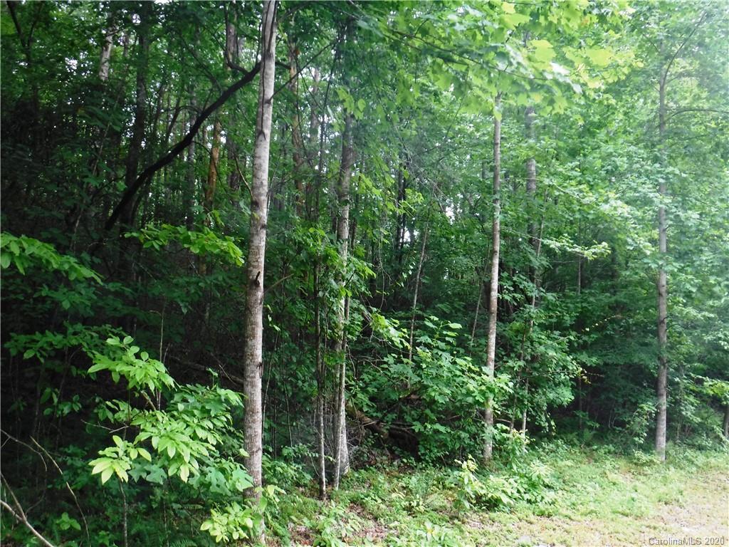 Lot 30 South Cove Rd Mill Spring Mill Spring, NC 28756 - Photo 4 of 15