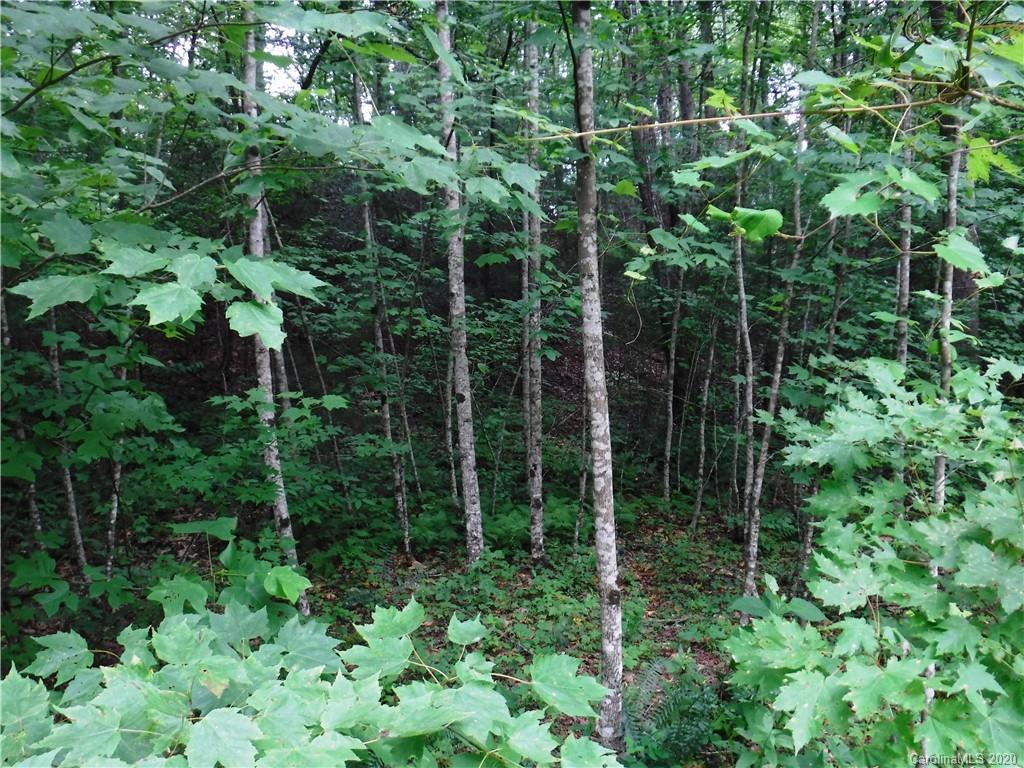 Lot 30 South Cove Rd Mill Spring Mill Spring, NC 28756 - Photo 5 of 15