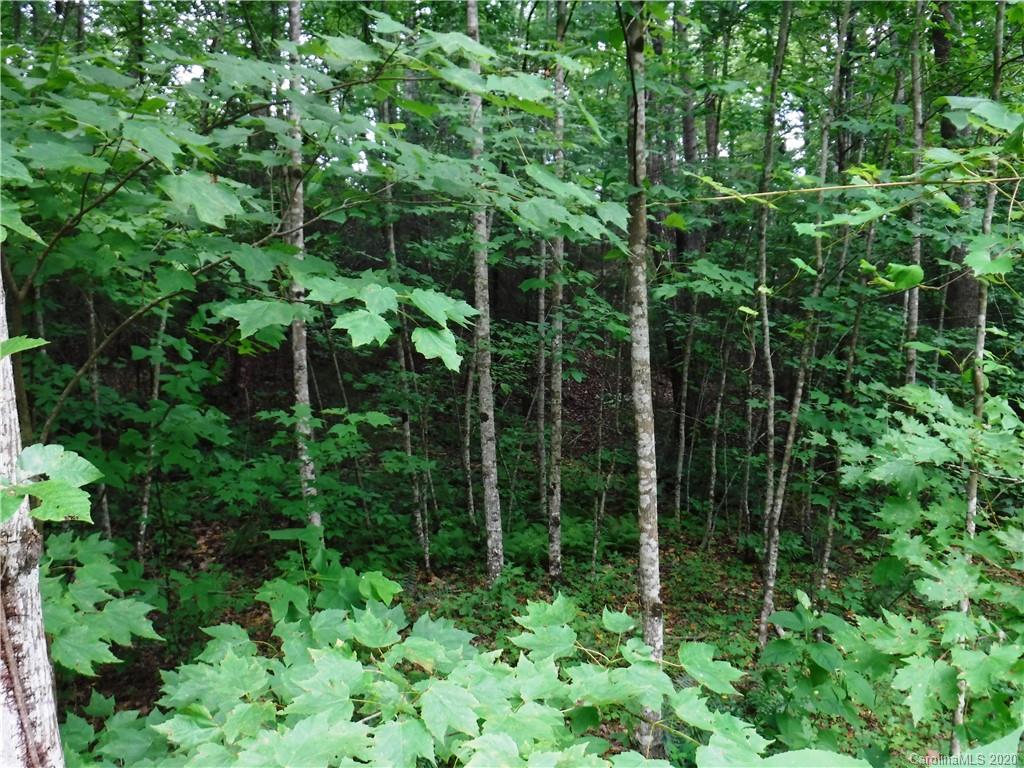 Lot 30 South Cove Rd Mill Spring Mill Spring, NC 28756 - Photo 6 of 15
