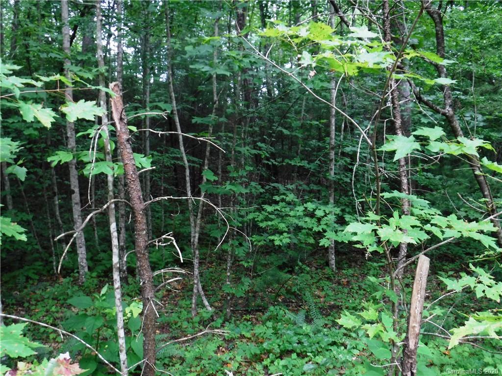 Lot 30 South Cove Rd Mill Spring Mill Spring, NC 28756 - Photo 7 of 15