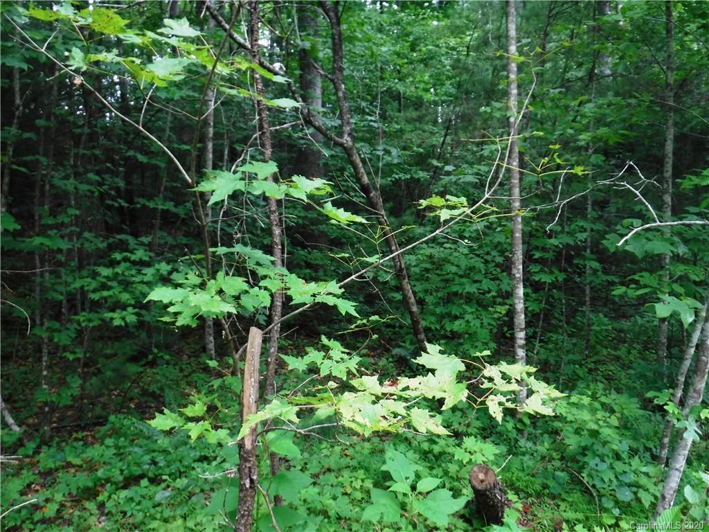 Lot 30 South Cove Rd Mill Spring Mill Spring, NC 28756 - Photo 8 of 15