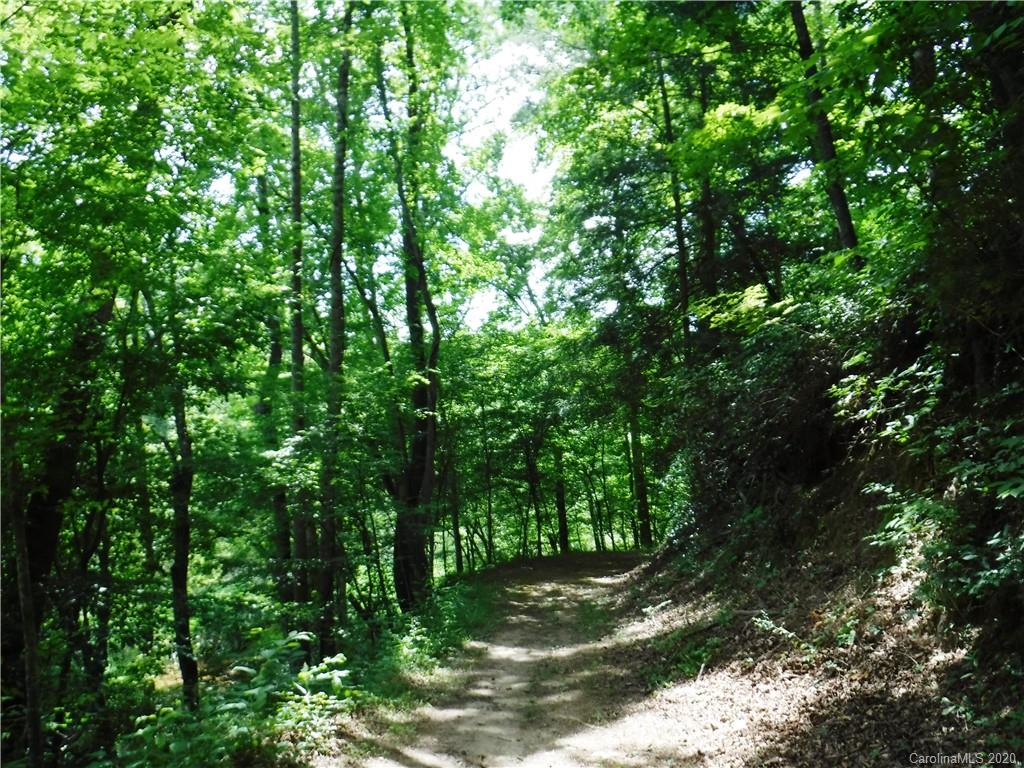 Lot 30 South Cove Rd Mill Spring Mill Spring, NC 28756 - Photo 10 of 15