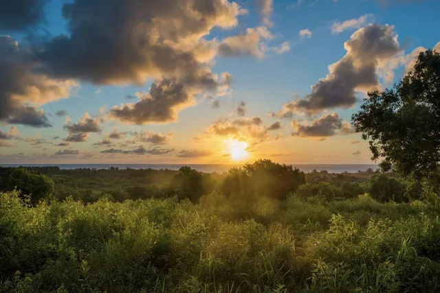 a view of lake with houses