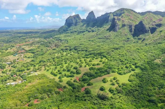 a view of a back yard with a garden