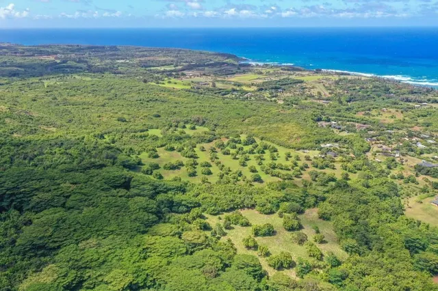 a view of a field with an ocean