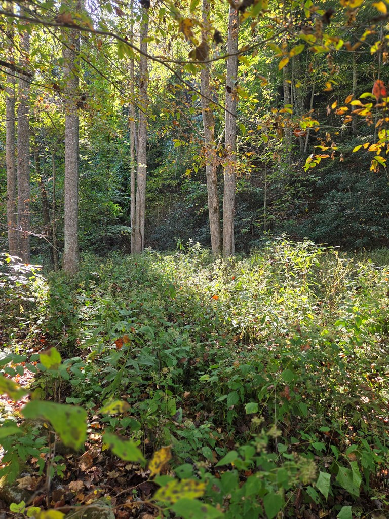 2 Lords Way Andrews, NC 28901 - Photo 2 of 5