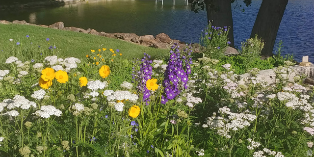 1040 West Mill Road Ferron, UT 84523 - Photo 80 of 117 Lush landscaping featuring vibrant perennial flowers