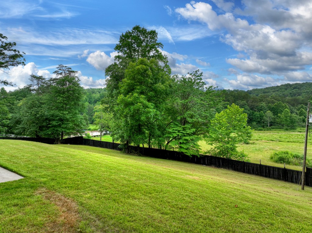 717 Bearden Road Blue Ridge, GA 30513 - Photo 5 of 56
