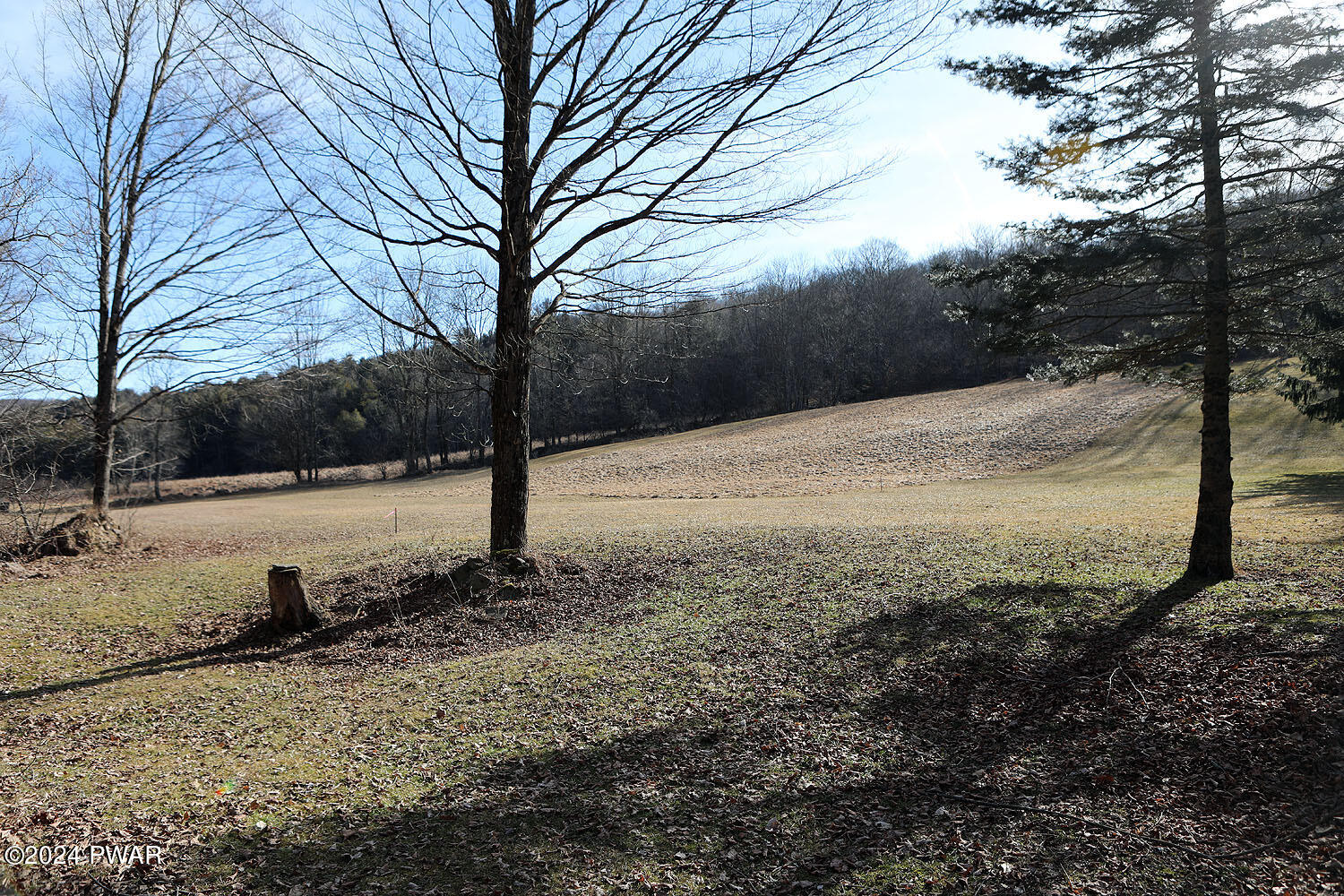 1106 Pine Mill Road Equinunk, PA 18417 - Photo 14 of 21 Lush fields