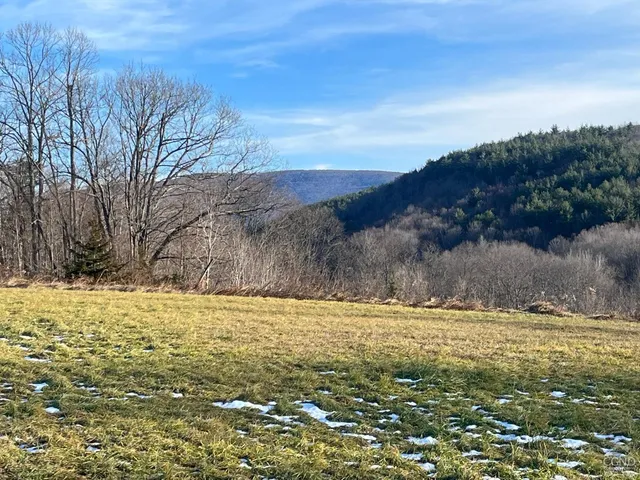 a view of yard with ocean view