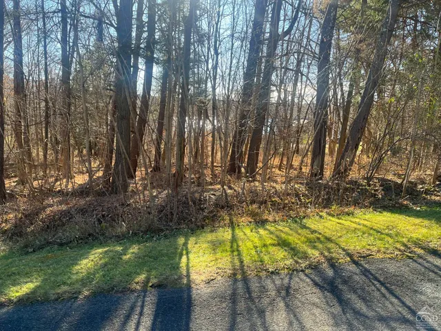 a view of swimming pool with trees in the background