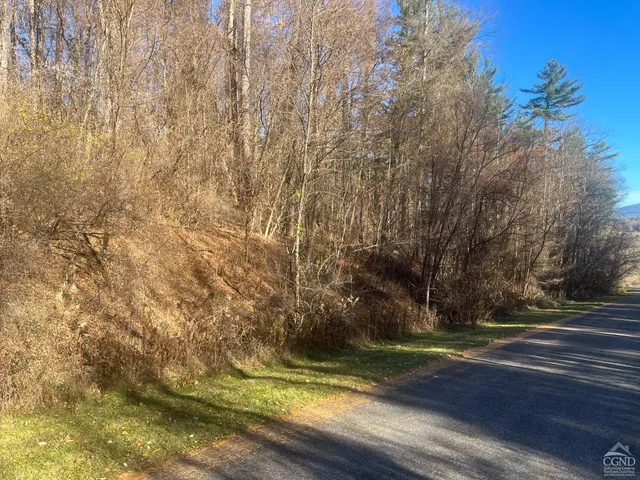 a view of a yard with large trees