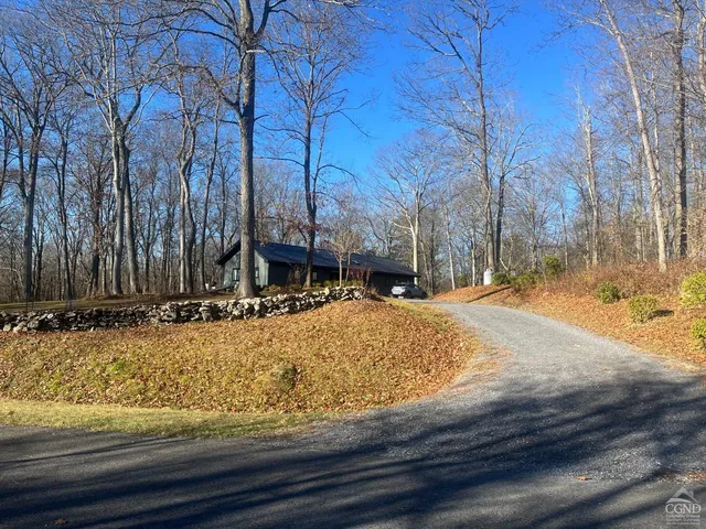 a view of a yard with trees