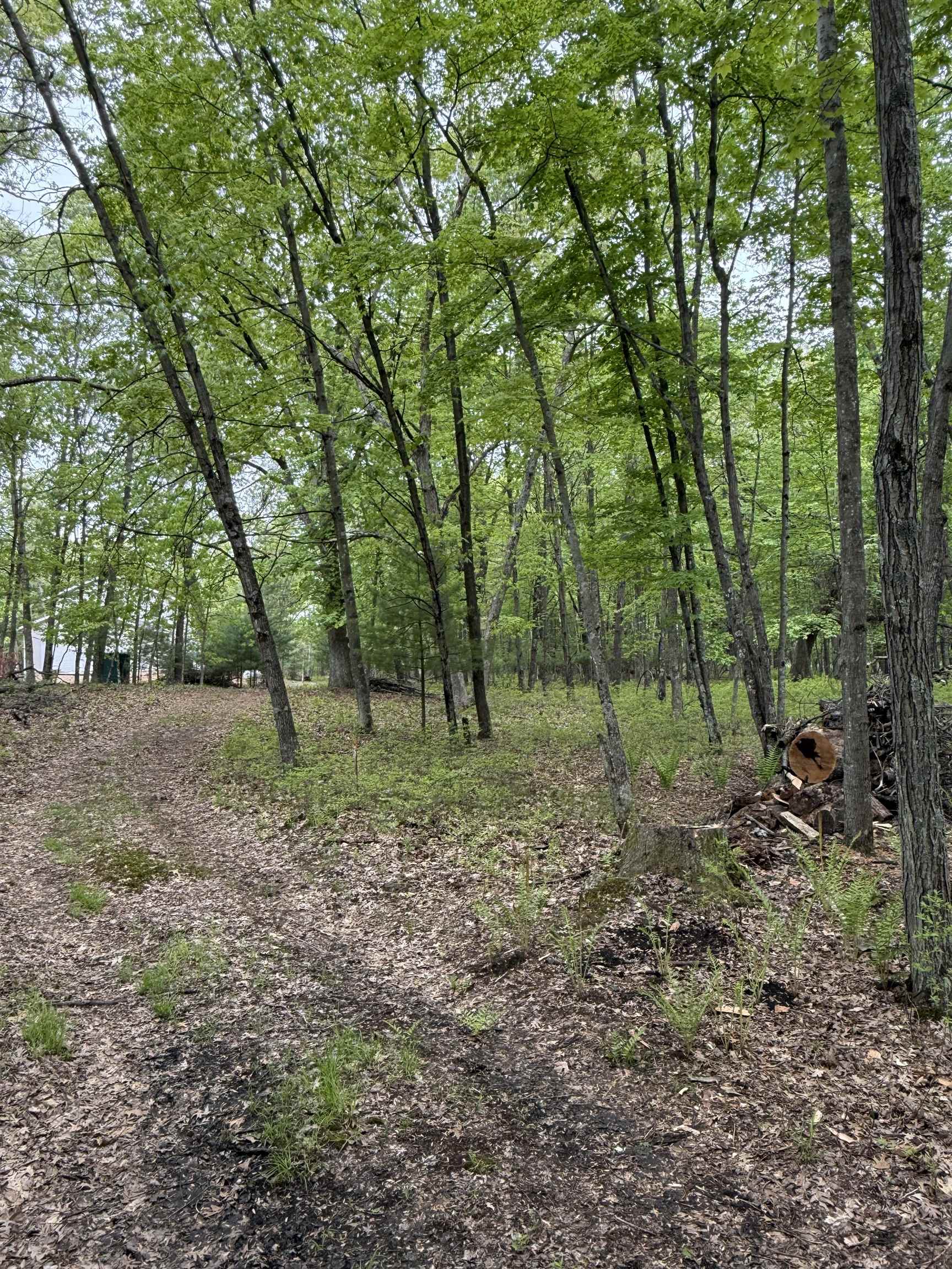 N3381 Deer Run Montello, WI 53949 - Photo 21 of 24