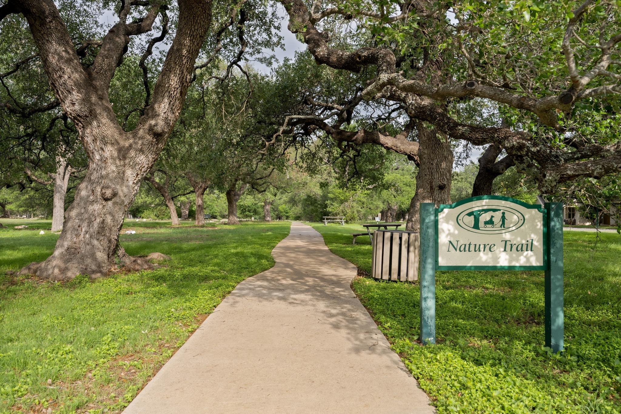 105 Rosebud Lane Georgetown, TX 78633 - Photo 25 of 37 a view of a street with a park bench and a tree