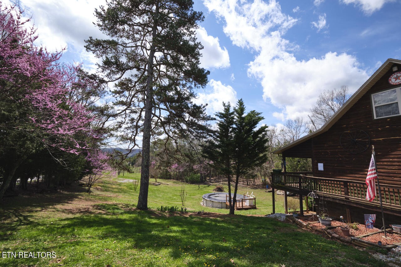 1077 Whitaker Road New Market, TN 37820 - Photo 43 of 46