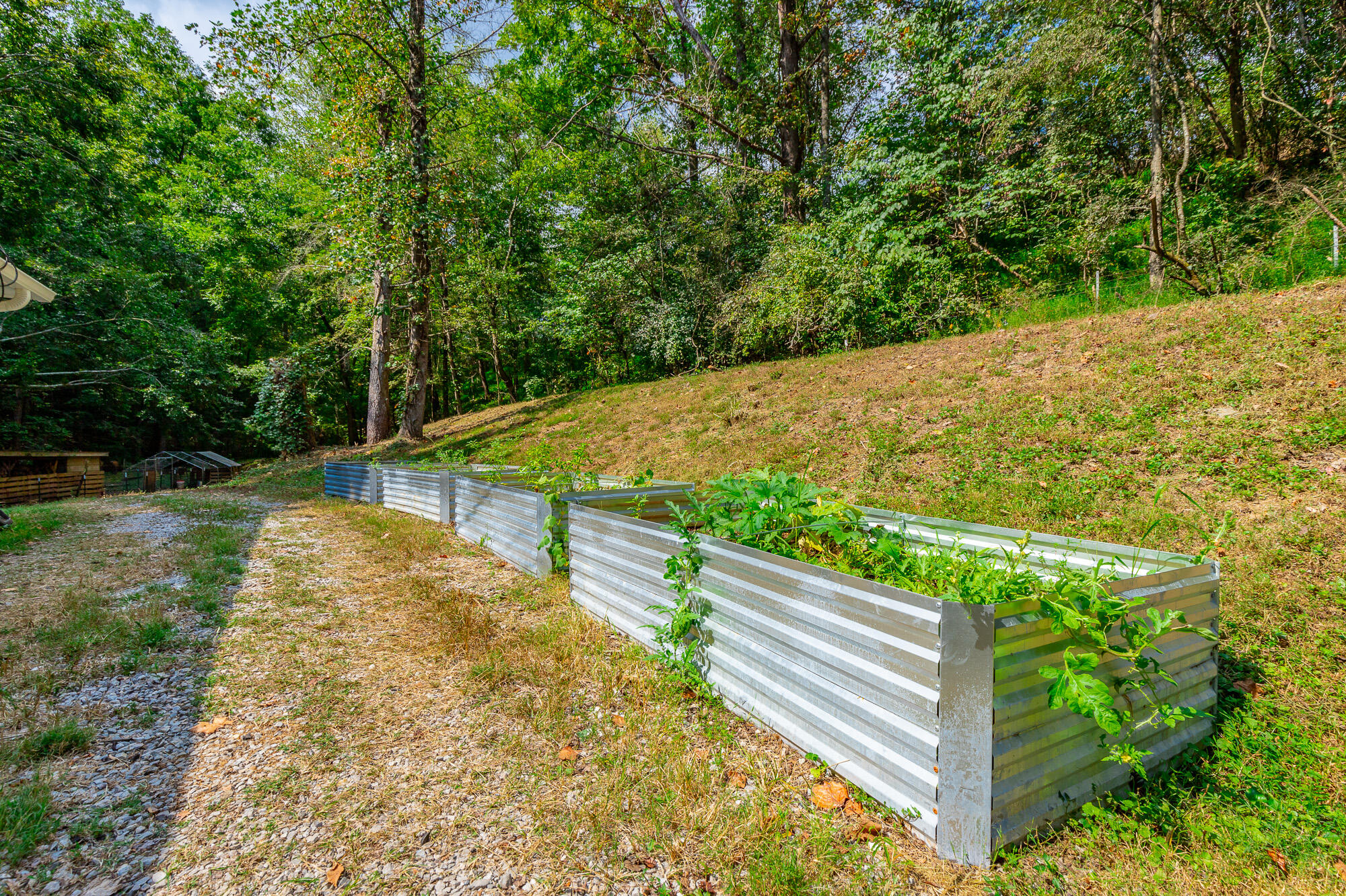 792 Sawmill Trail Chattanooga, TN 37415 - Photo 39 of 48 792 Sawmill Trail HD-80