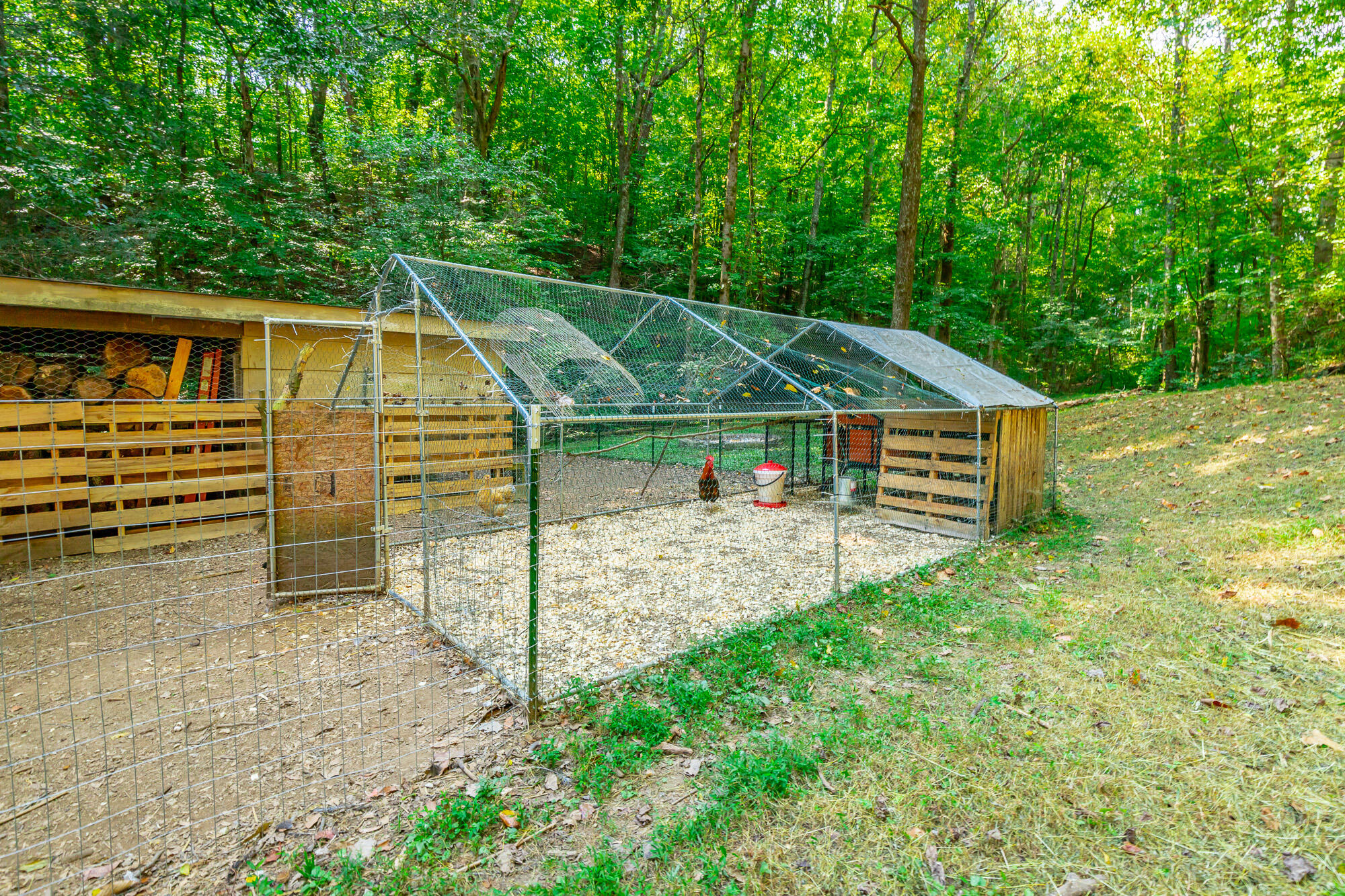 792 Sawmill Trail Chattanooga, TN 37415 - Photo 43 of 48 792 Sawmill Trail HD-56