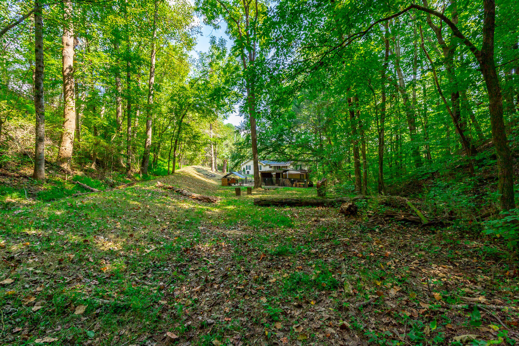 792 Sawmill Trail Chattanooga, TN 37415 - Photo 45 of 48 792 Sawmill Trail HD-59