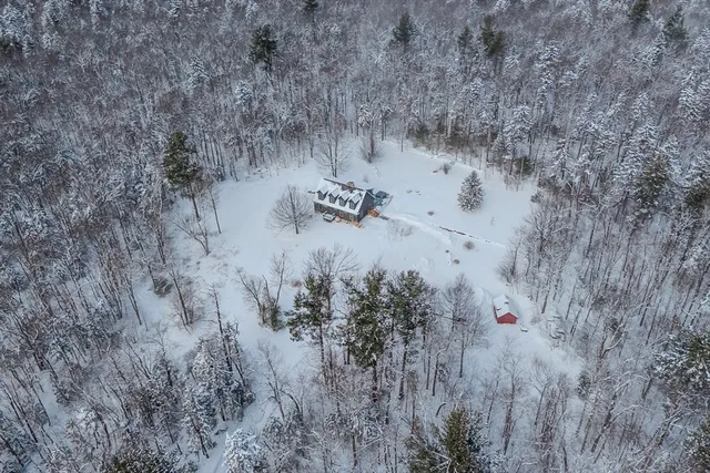 a view of a dry yard with trees