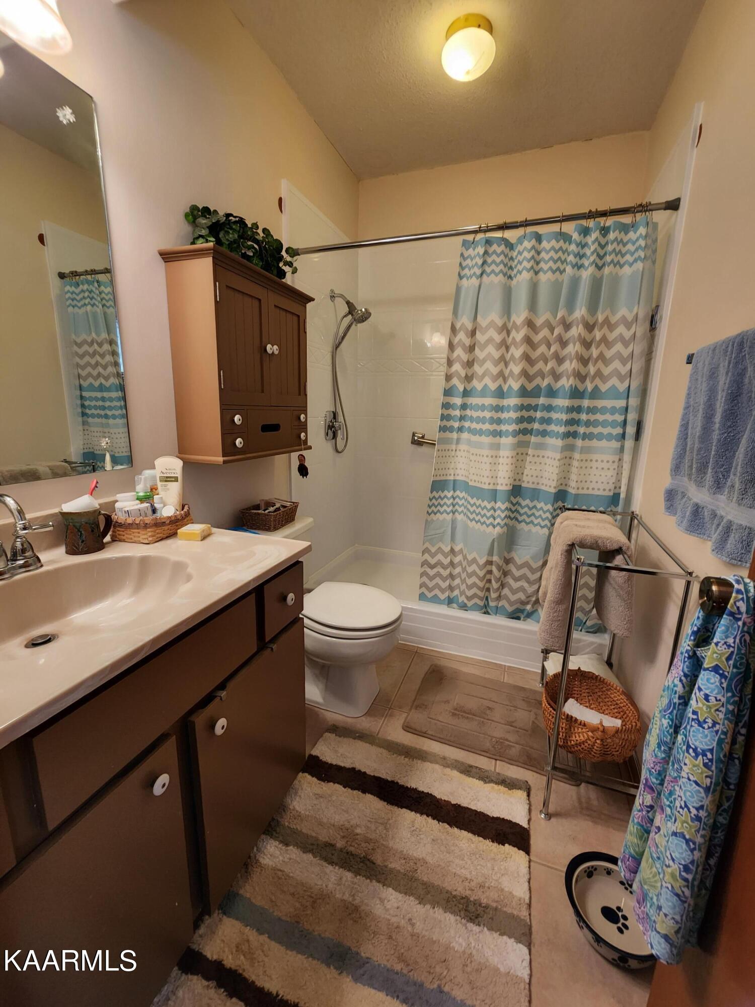 38 Brookside Drive Oak Ridge, TN 37830 - Photo 16 of 28 Master Bath