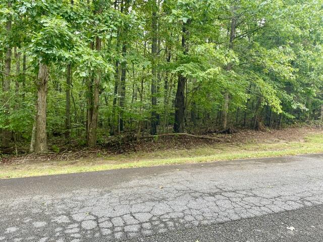 0 Stewart Lane, Unit LOT 33 Rising Fawn, GA 30738 - Photo 12 of 17 IMG_9453