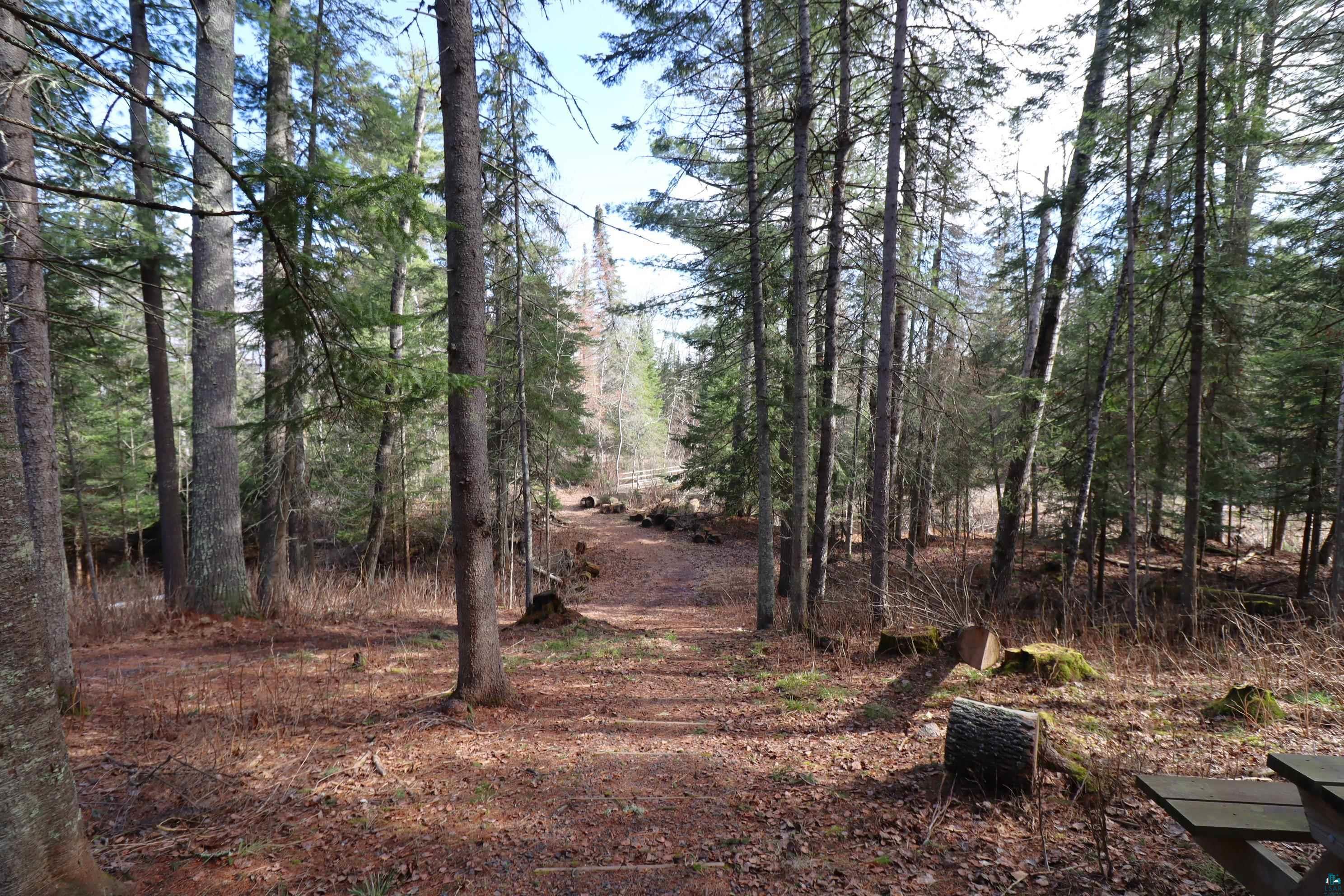14615 Cranberry River Road Herbster, WI 54844 - Photo 11 of 47