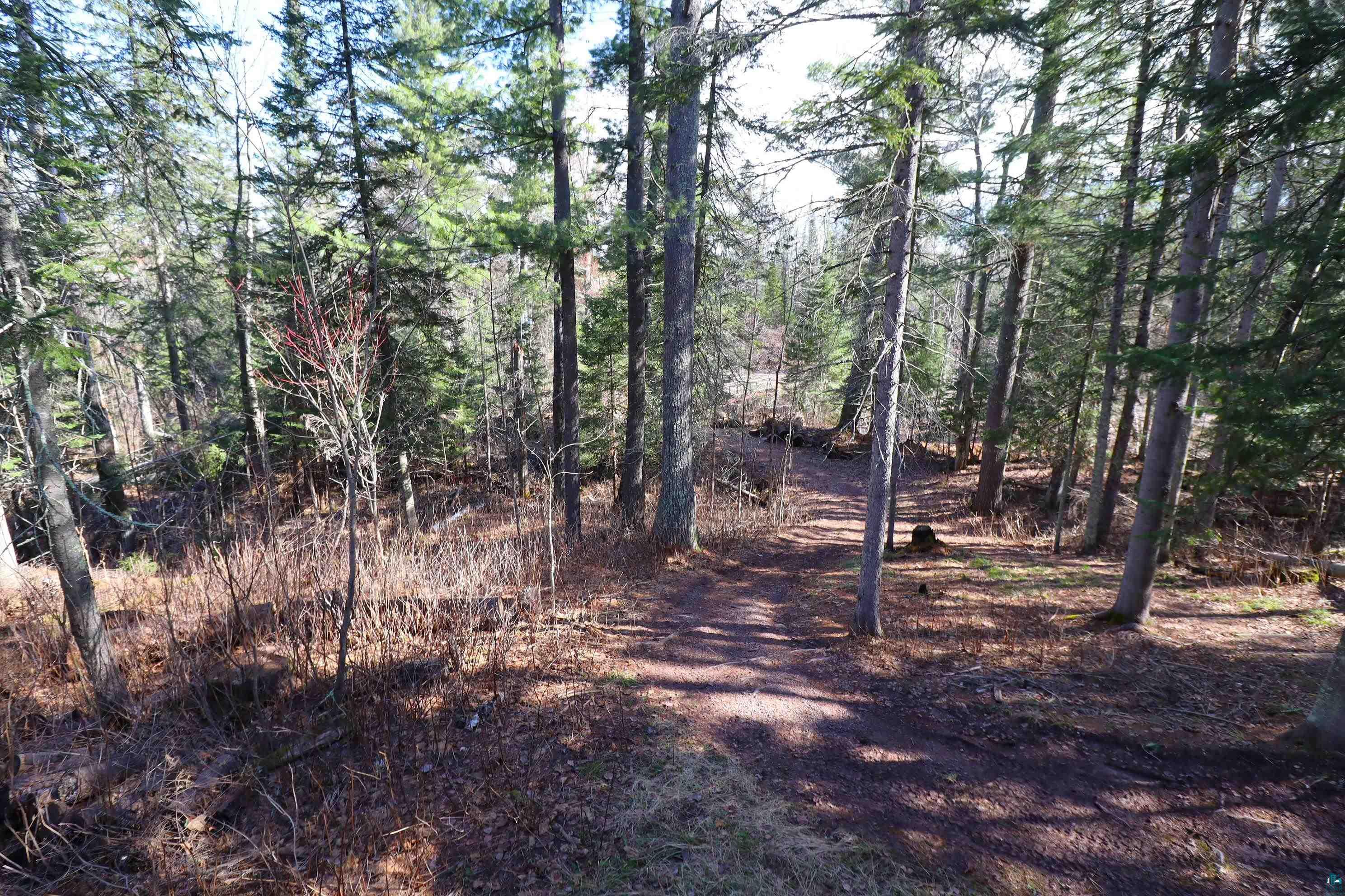 14615 Cranberry River Road Herbster, WI 54844 - Photo 40 of 47 Path To Road