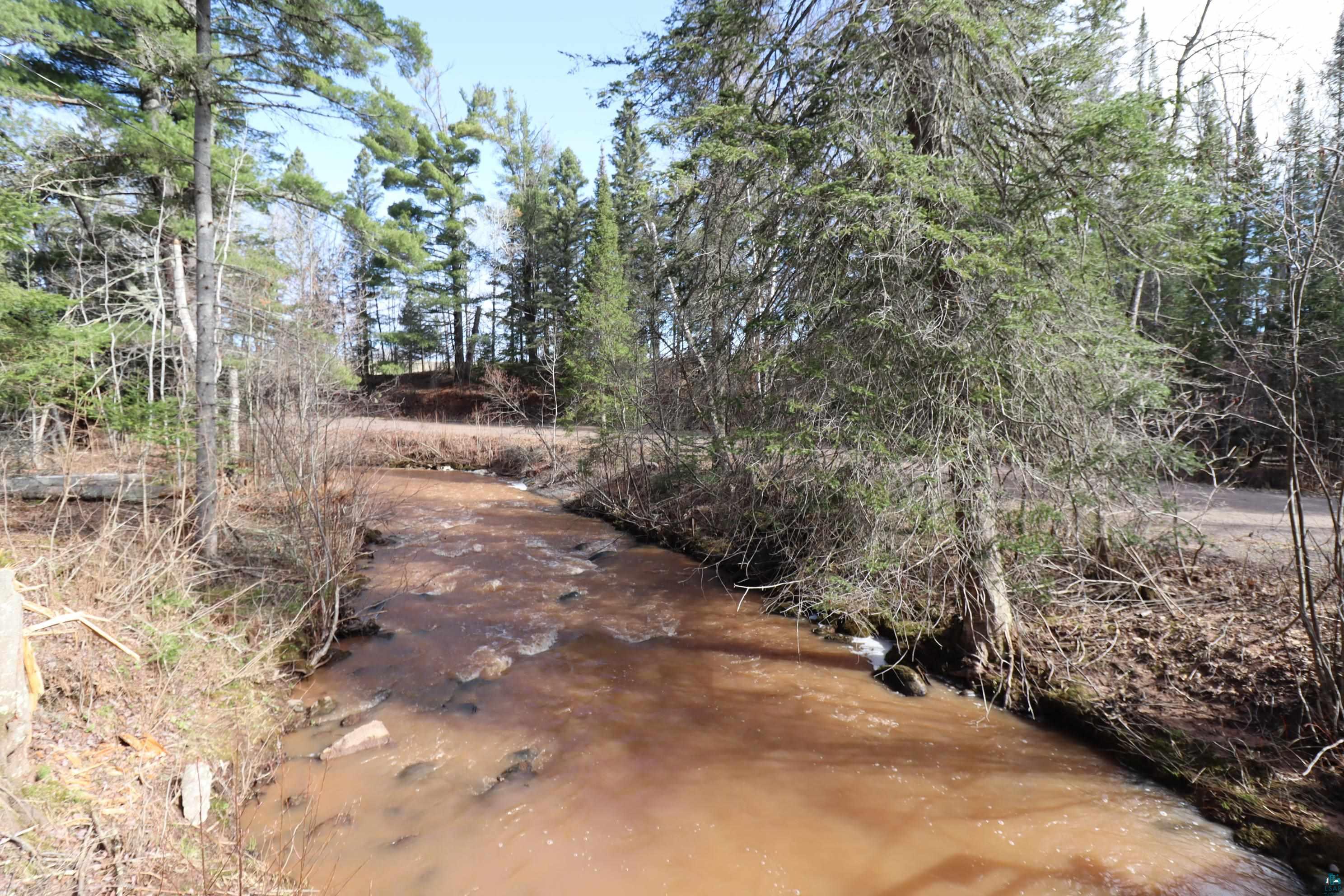 14615 Cranberry River Road Herbster, WI 54844 - Photo 6 of 47 Cranberry River