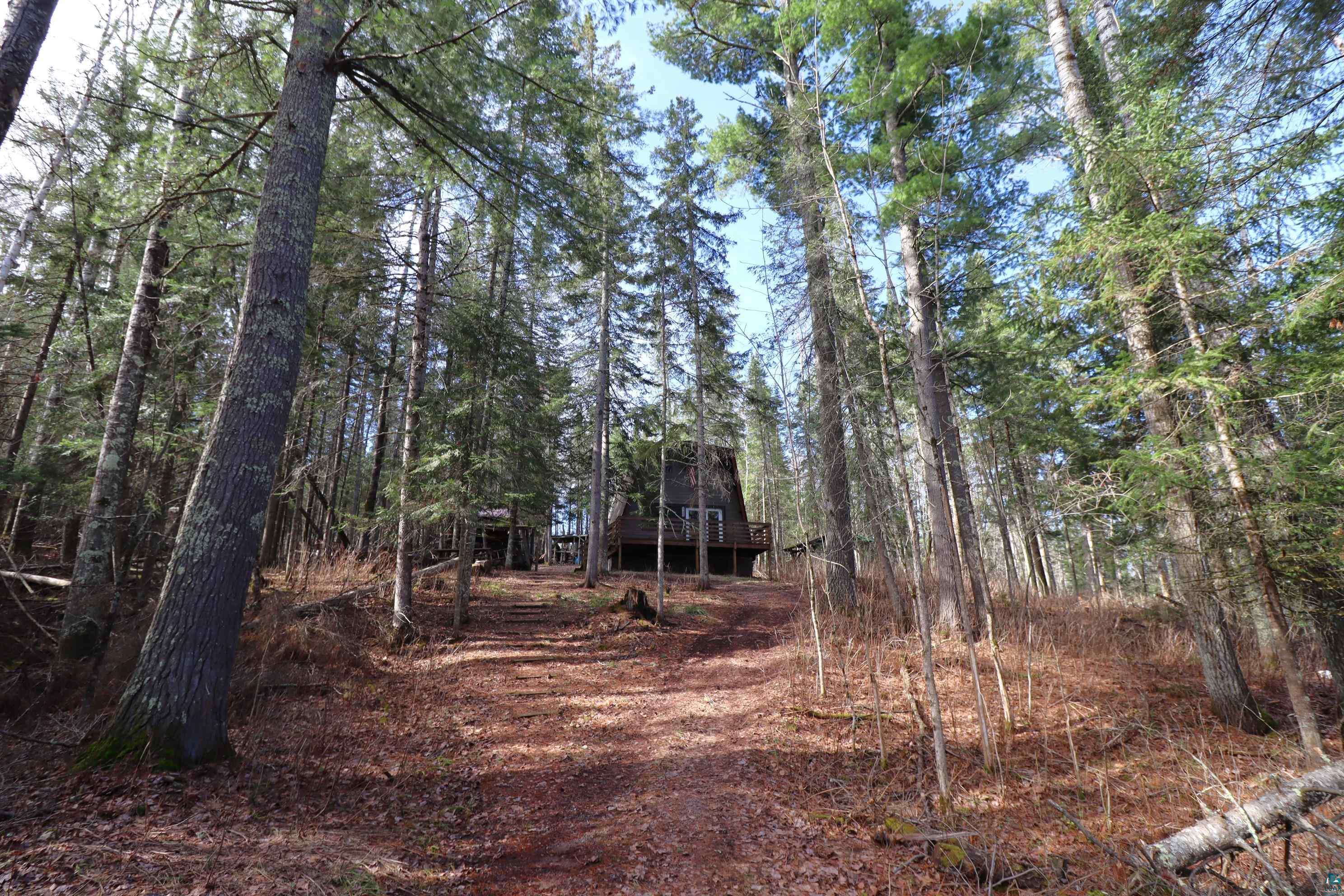 14615 Cranberry River Road Herbster, WI 54844 - Photo 10 of 47 Trail To The Home