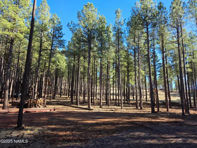 $210,000 | 13398 Fallow Deer Road, Parks, AZ 86018